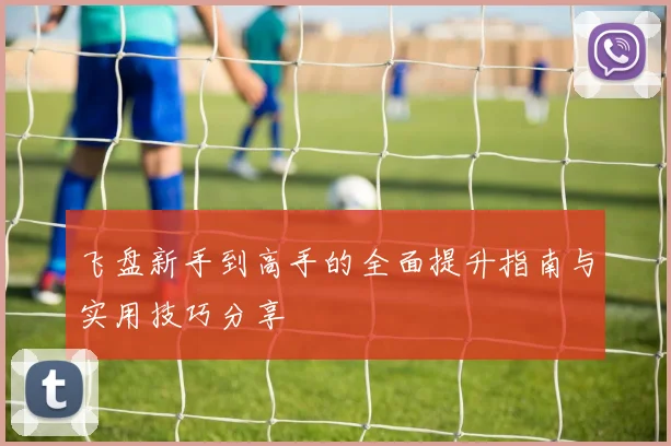 飞盘新手到高手的全面提升指南与实用技巧分享