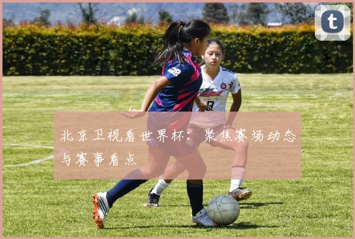 北京卫视看世界杯：聚焦赛场动态与赛事看点